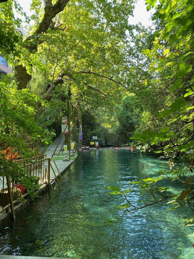 Yuvarlakcay Cinar Butik Otel Köyceğiz Dış mekan fotoğraf